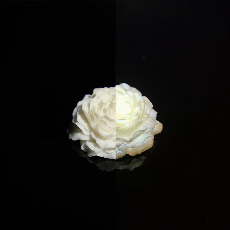 Rosas luminosas 40 °