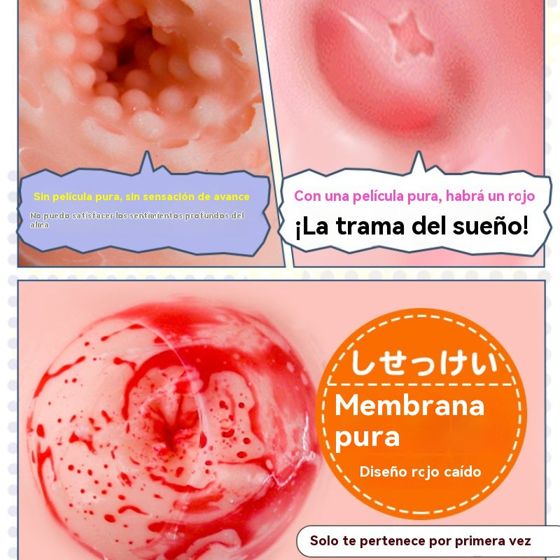 Modelo de belleza intrauterina