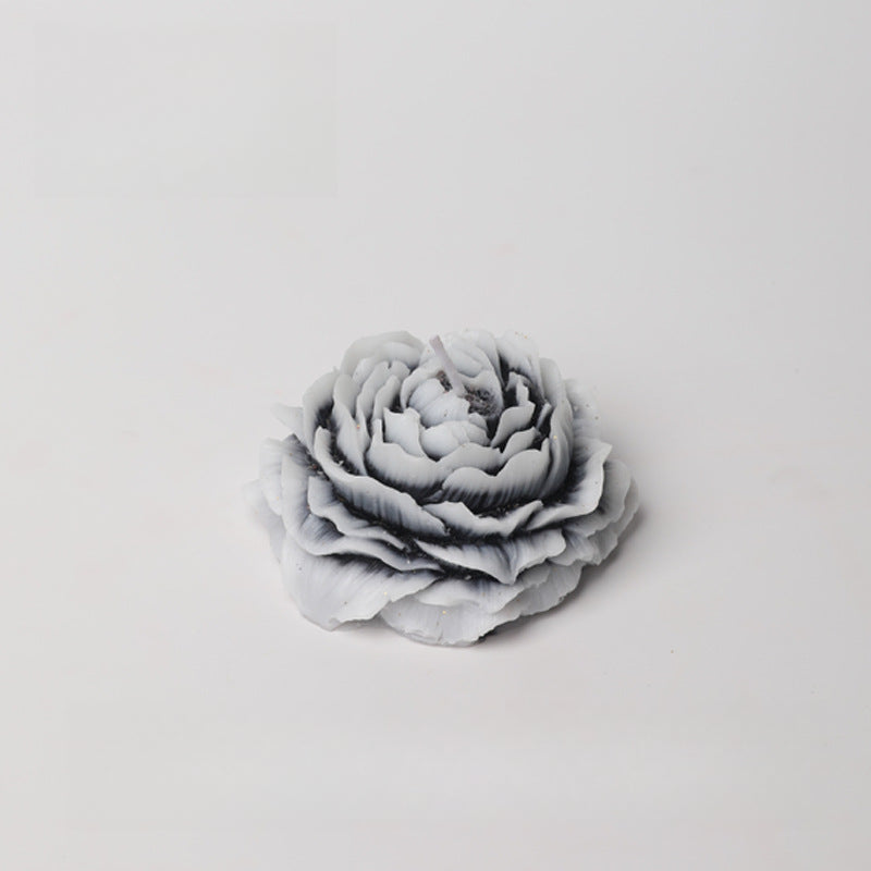 Rosa bicolor 42 °