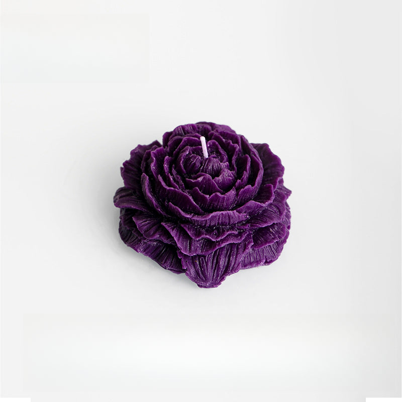 Rosas 45°