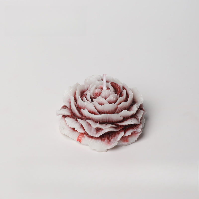 Rosa bicolor 42 °