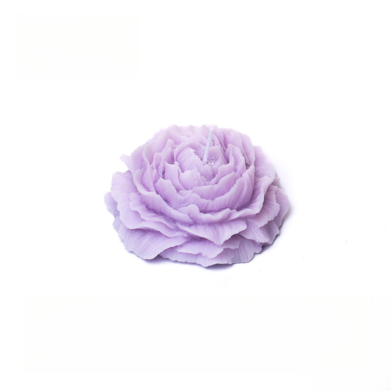 Rosas 45°