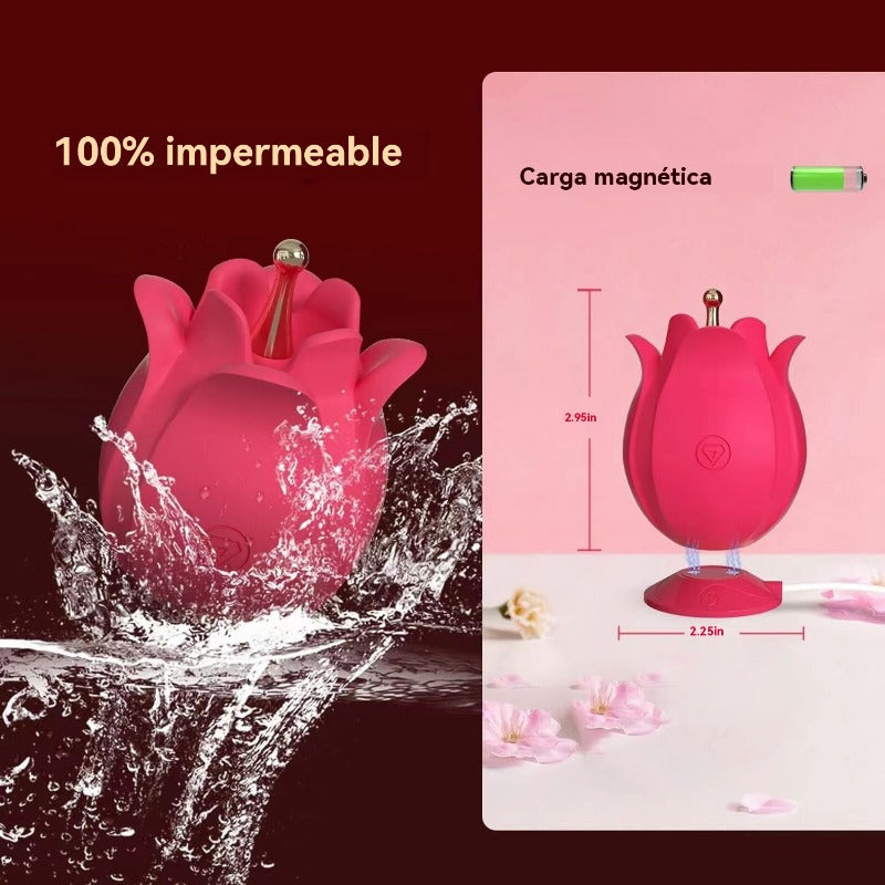 Vibrador de clítoris