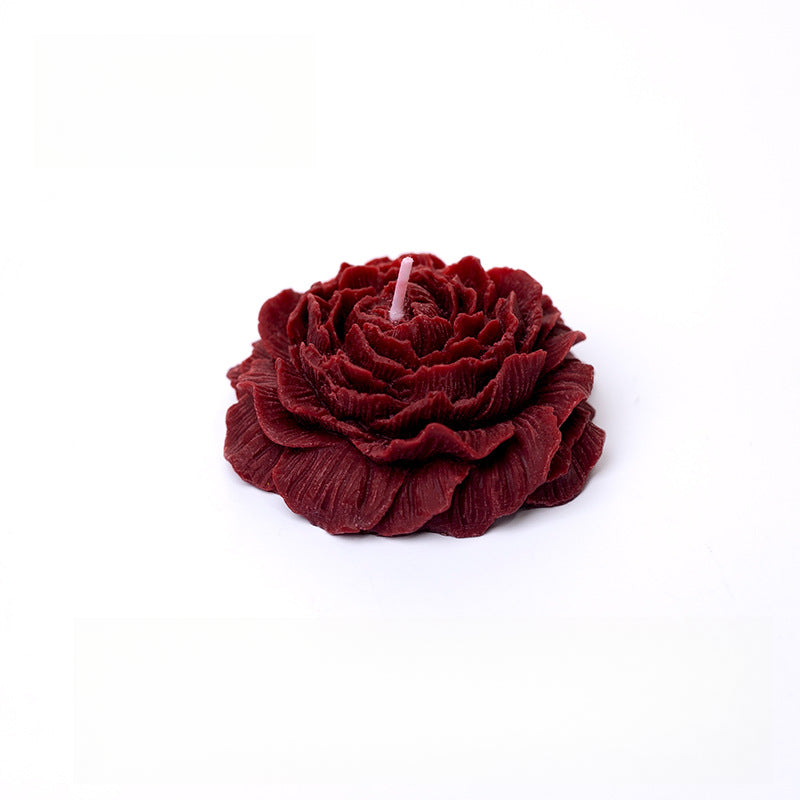 Rosas 45°