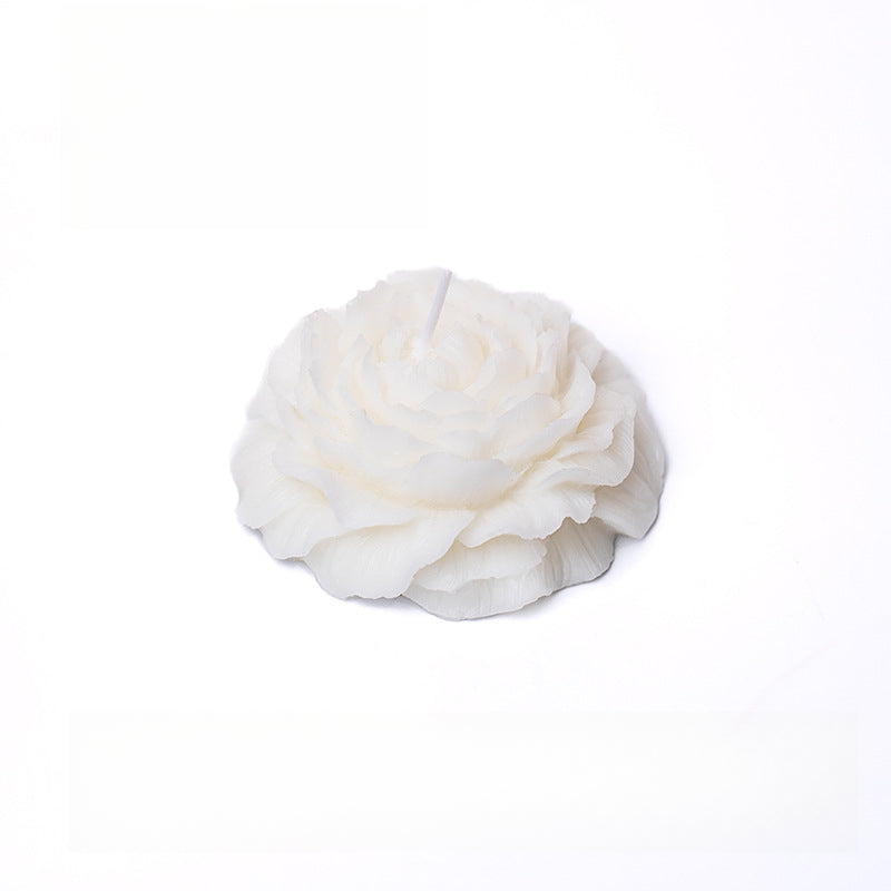 Rosas 45°