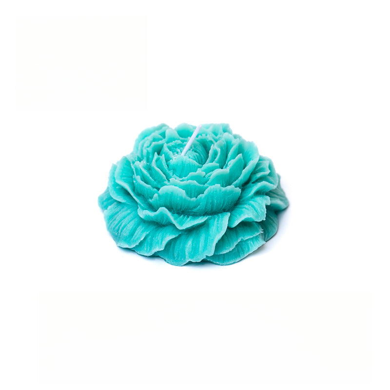 Rosas 45°