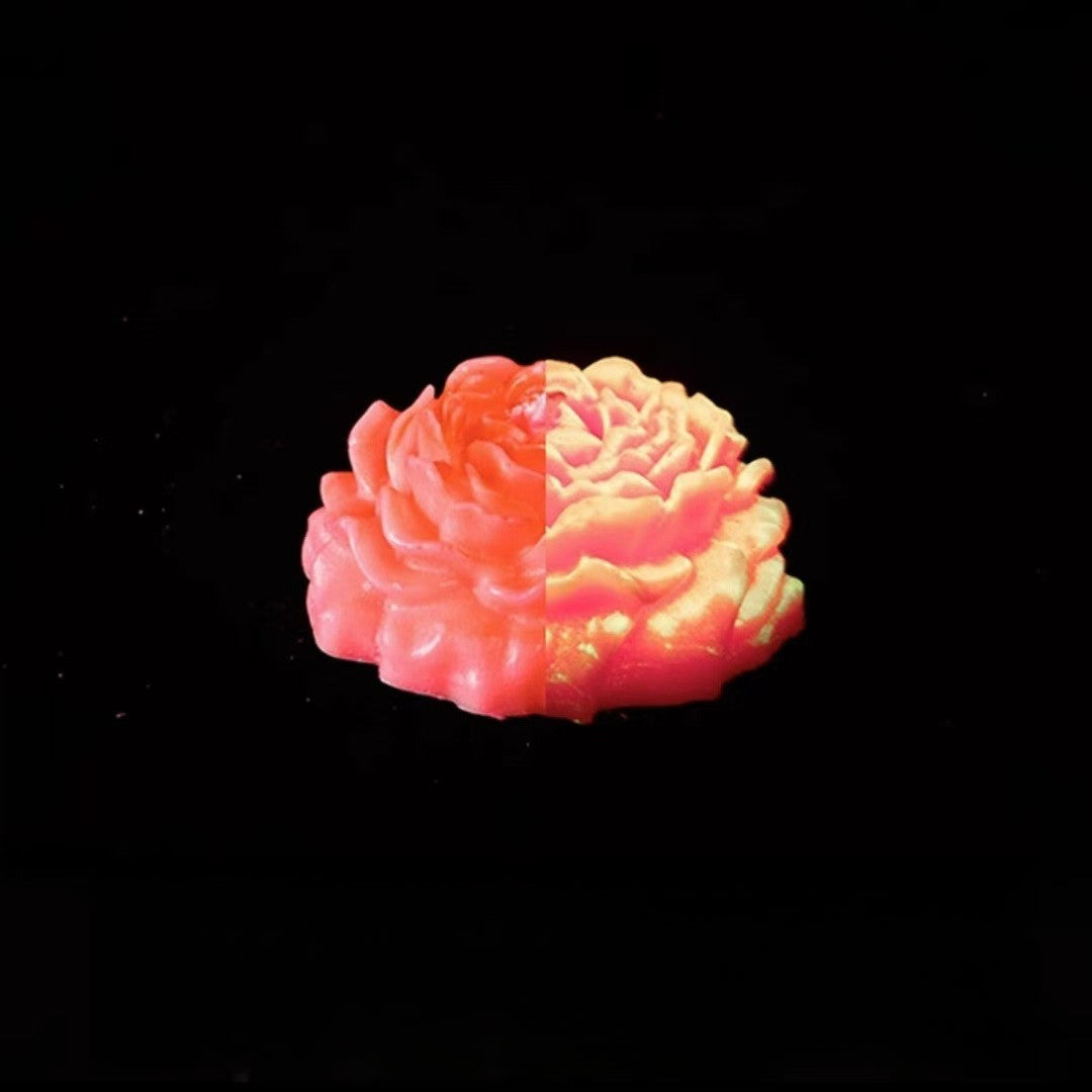 Rosas luminosas (juego de 7)
