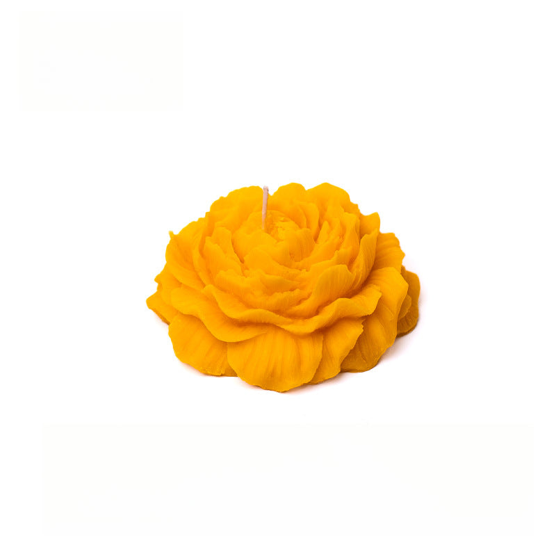 Rosas 45°
