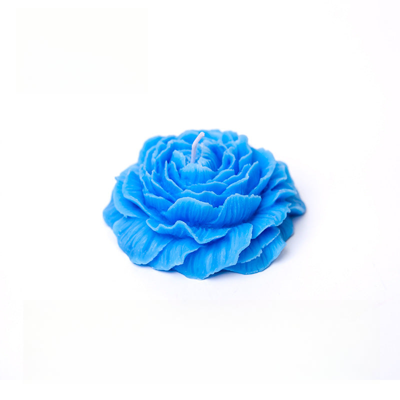 Rosas 45°