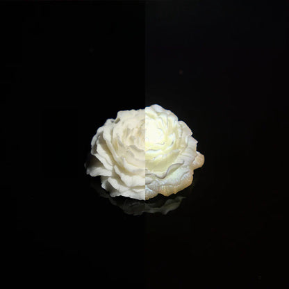 Rosas luminosas 40 °