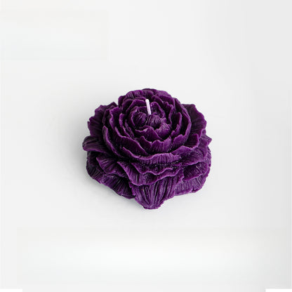 Rosas 45°
