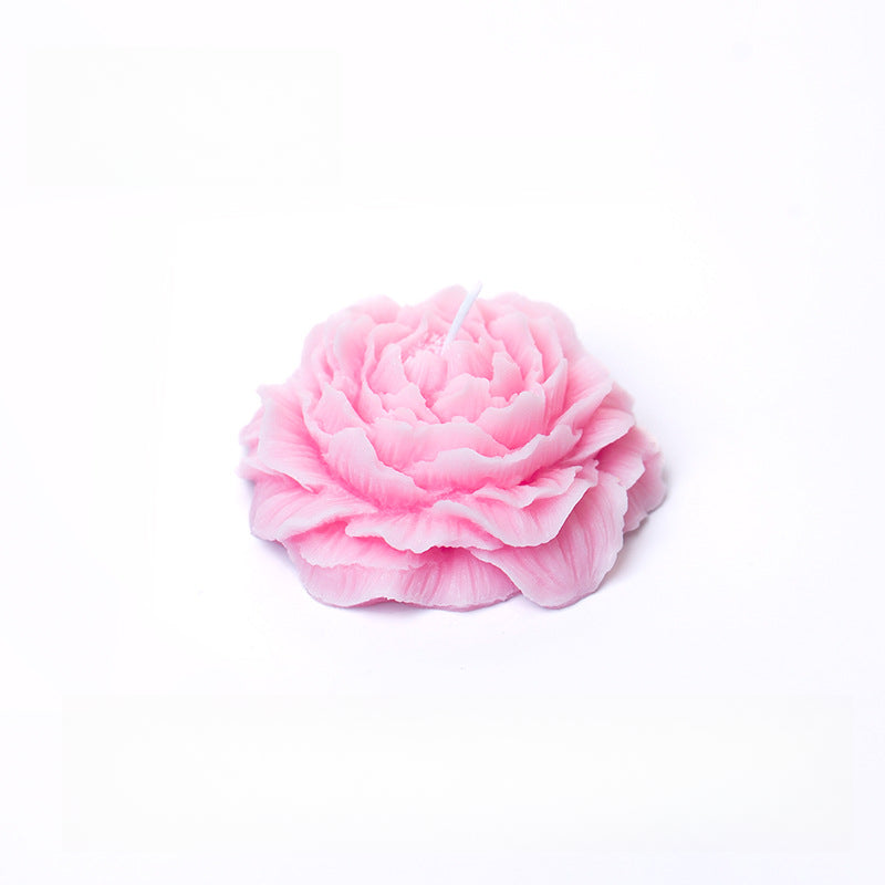 Rosas 45°
