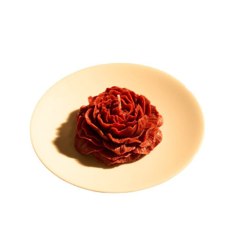 Rosas 45°