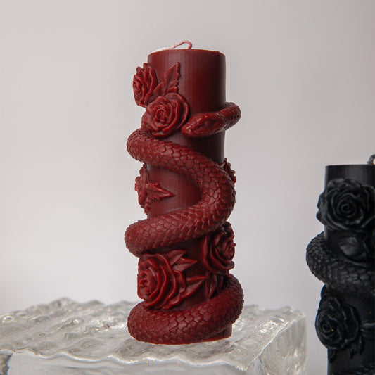 Serpiente en espiral 42 °