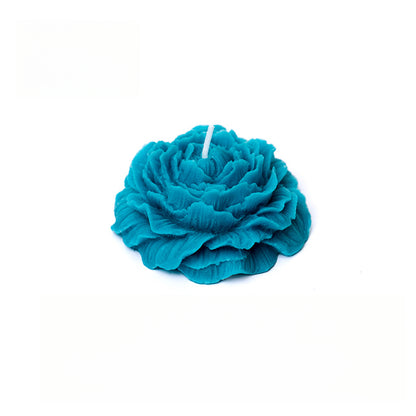 Rosas 45°